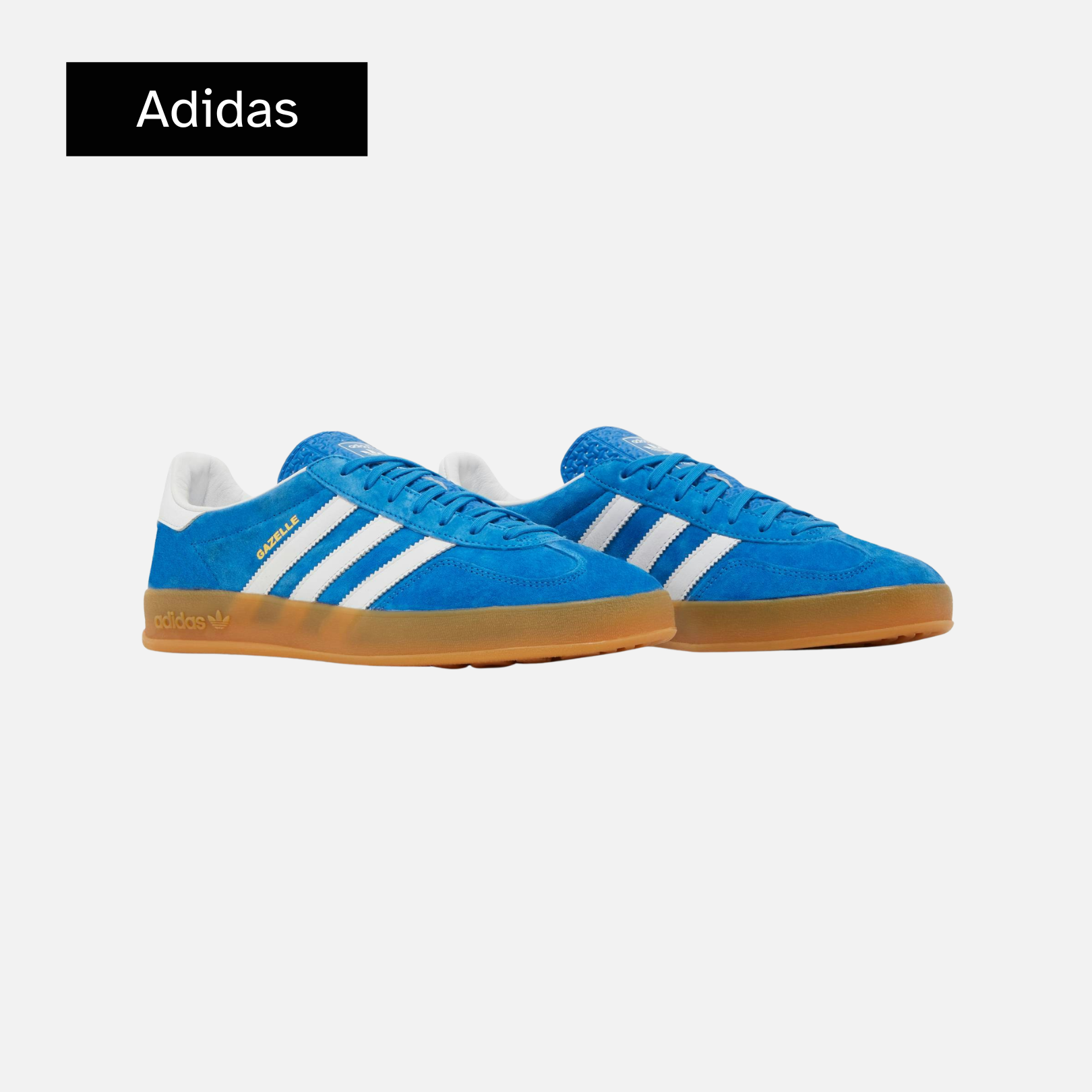 Gazelle Indoor 'Blue Bird Gum'